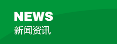 新闻资讯